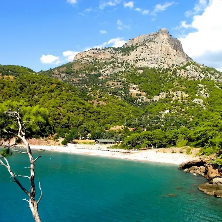 Fethiye Familya Tree Villa Villa