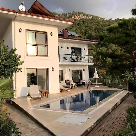 Villa Fethiye Familya Tree Villa Fethiye