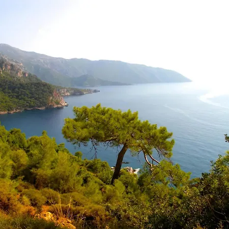 Fethiye Familya Tree Villa