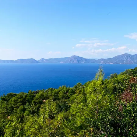 Fethiye Familya Tree Villa Villa *