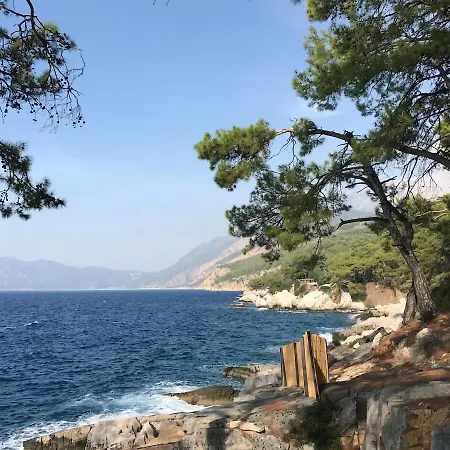 Fethiye Familya Tree Villa Villa *